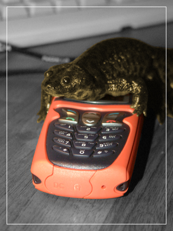 Мобильный испанец