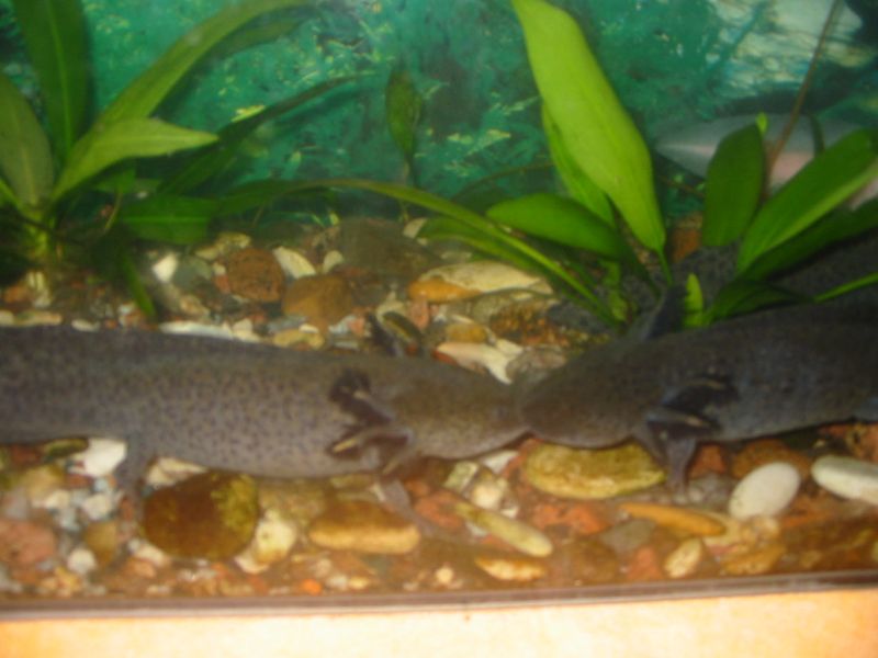 Счастливые родители =)