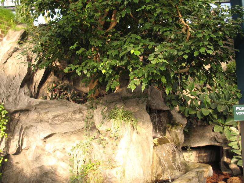 Крокодилье счастье (6/6)