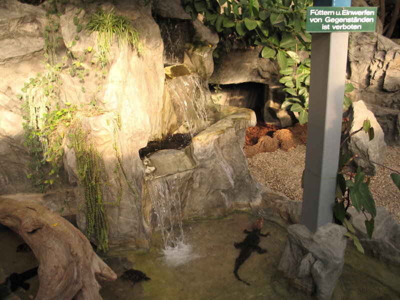 Крокодилье счастье (5/6)