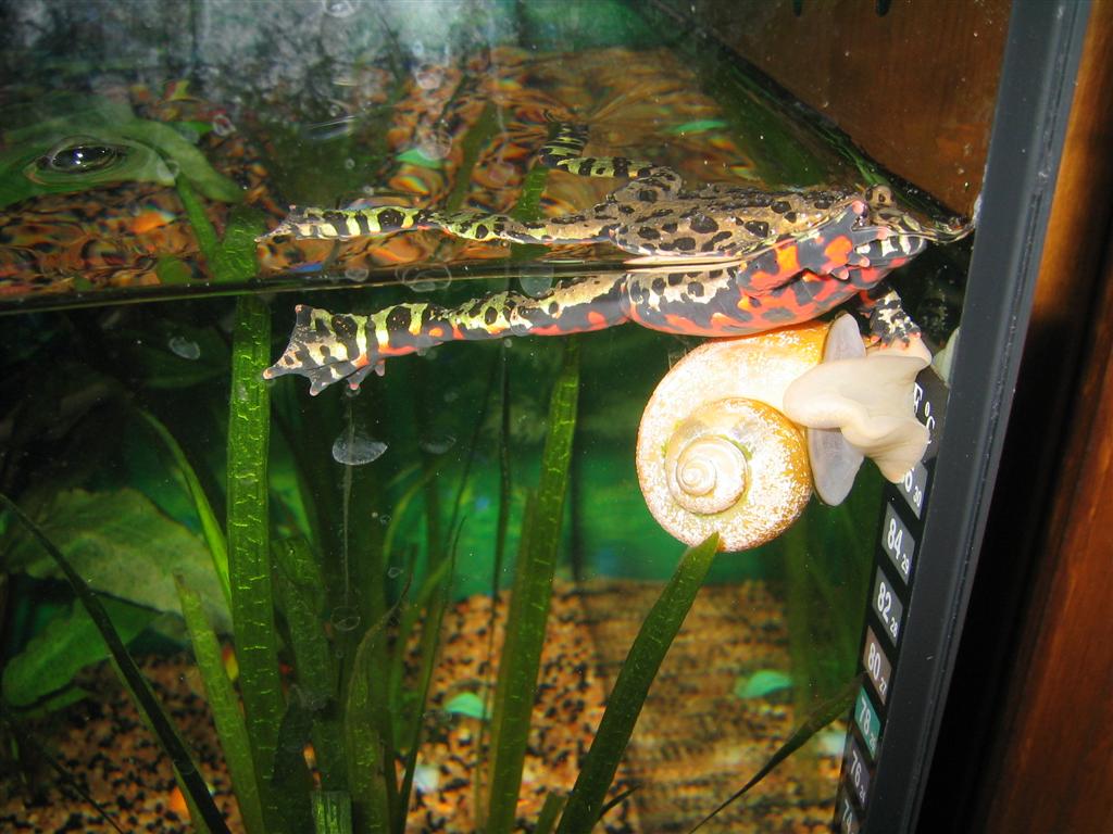 Опа, а дно-то из под ног уходит.