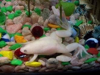 После обеда