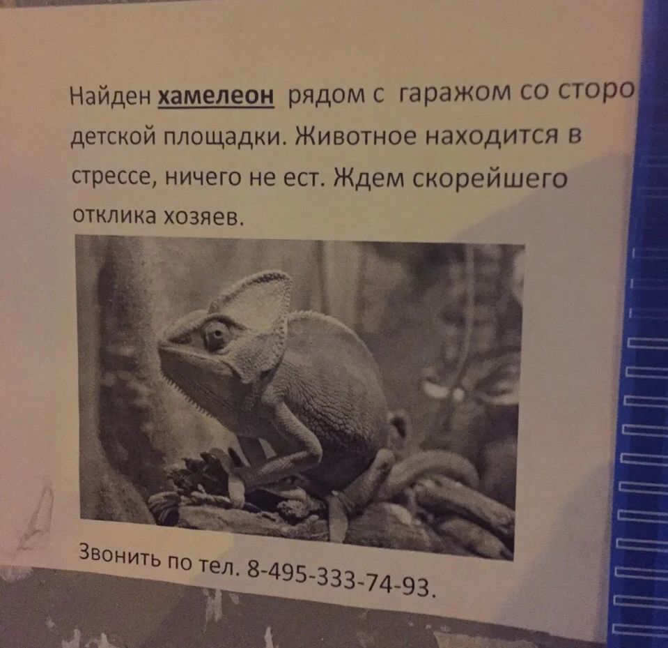 найденыш