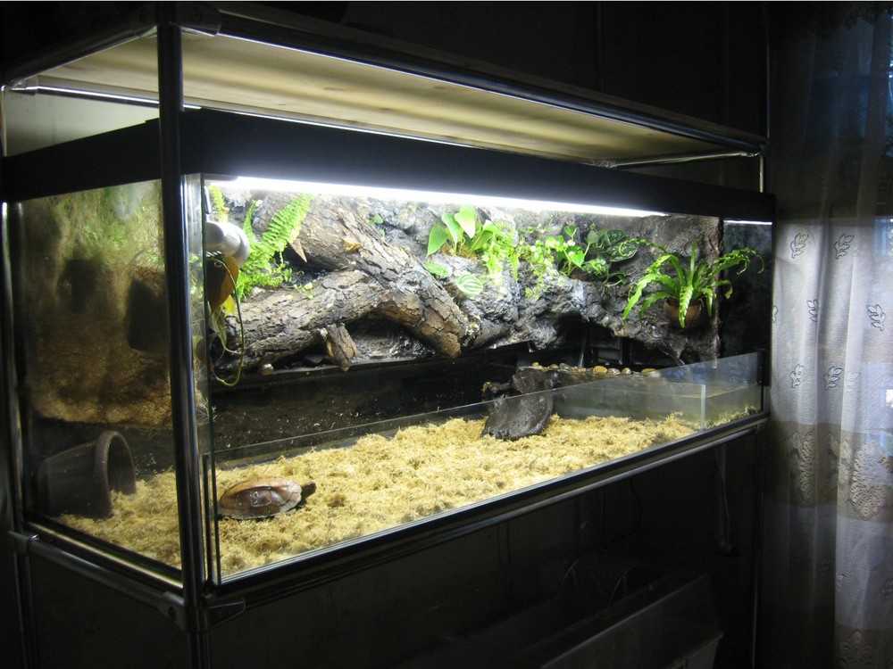 терр пиксидеи