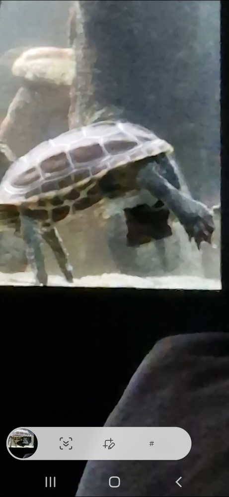 Трехкилевая