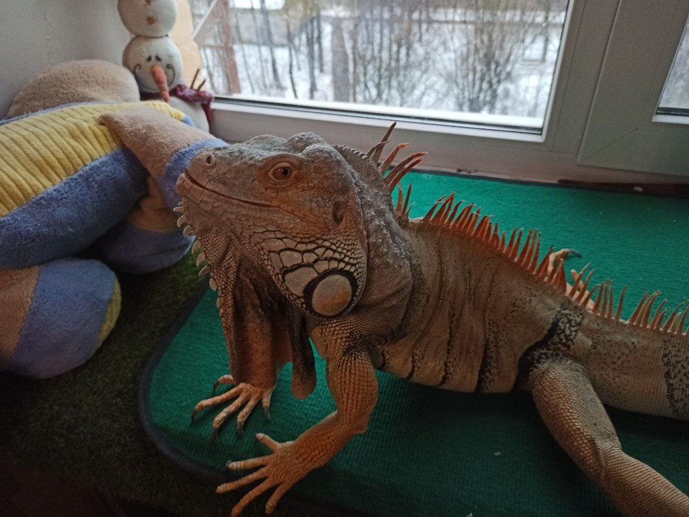 Для продажи