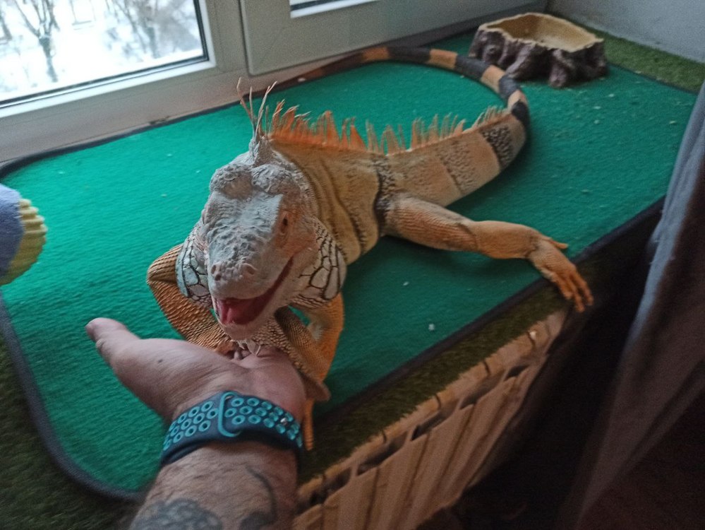 Для продажи