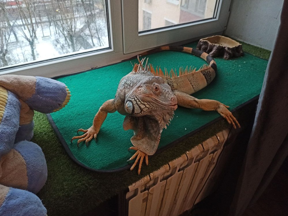 Для продажи