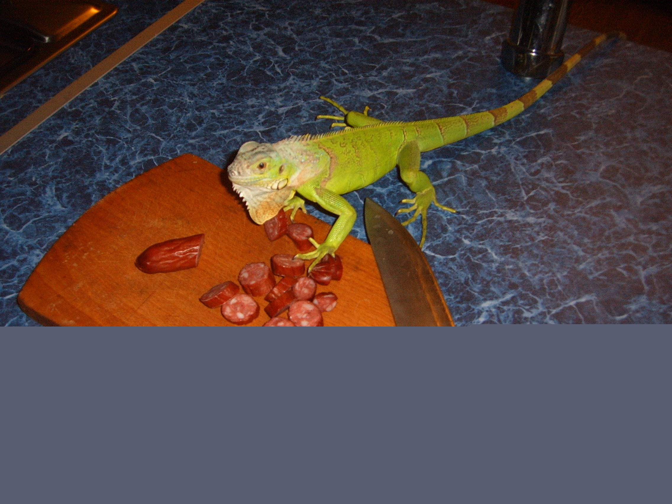 Юный кулинар