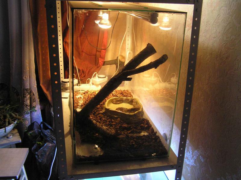 терр Глафиры