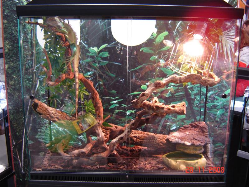 зоосфера 2008