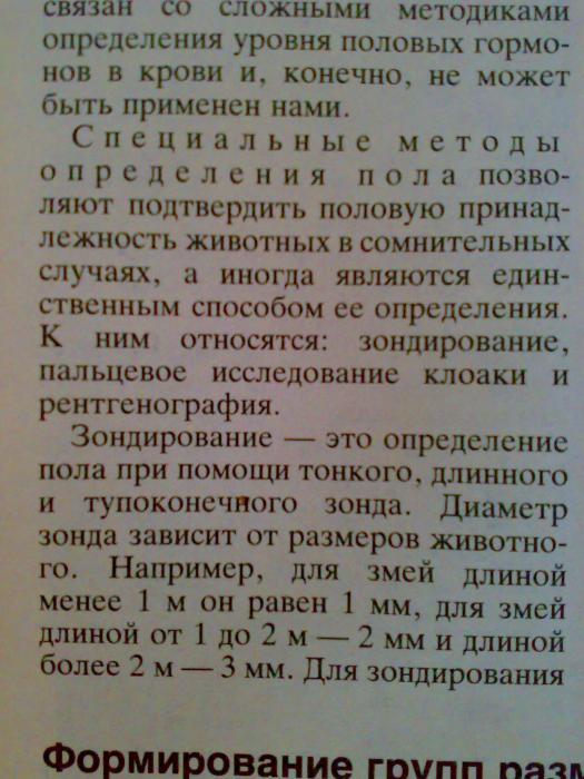 Текст 1.1