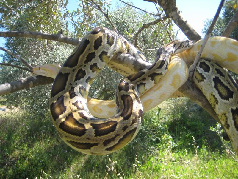 соня и мартин