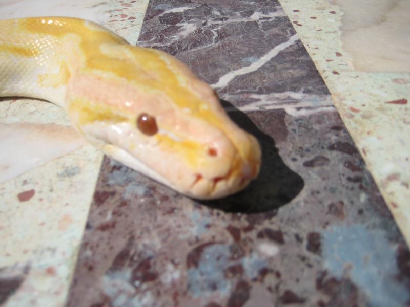 вот мы какие