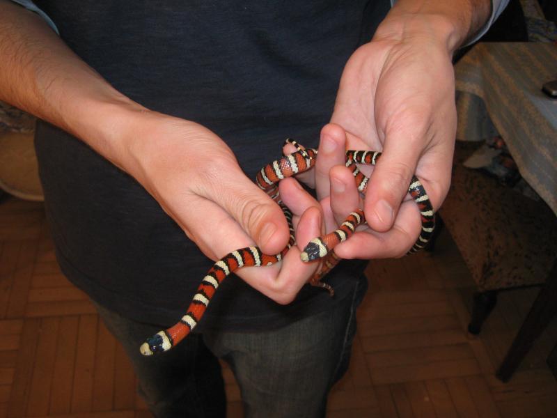 Дети август 2008