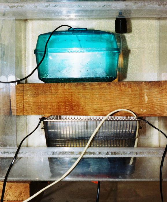 Инкубатор образца 2003 г.