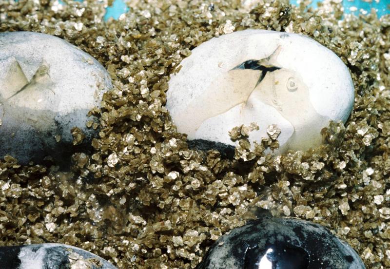 В ожидании...