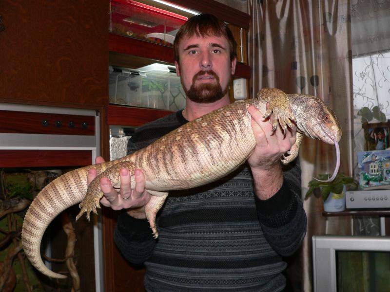 Как вам пельмень?..