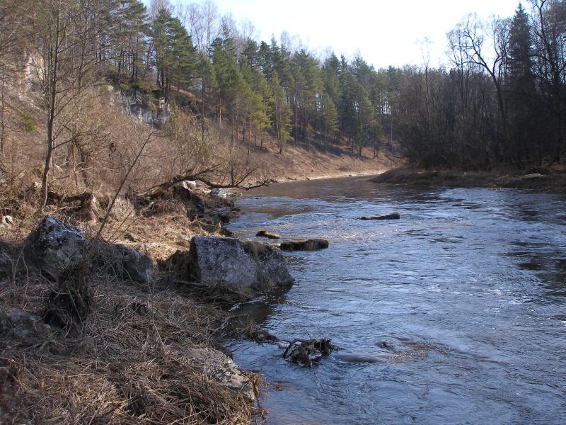 Тверская область.