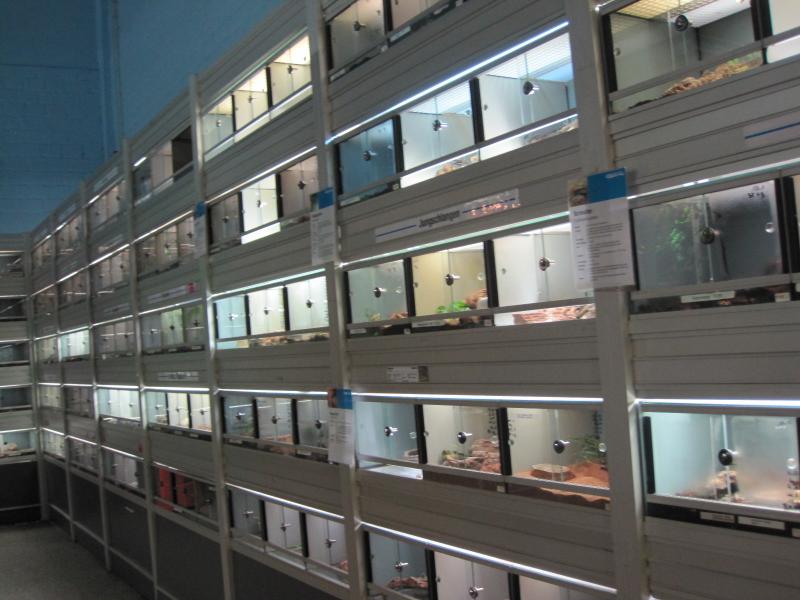 зоомагазин