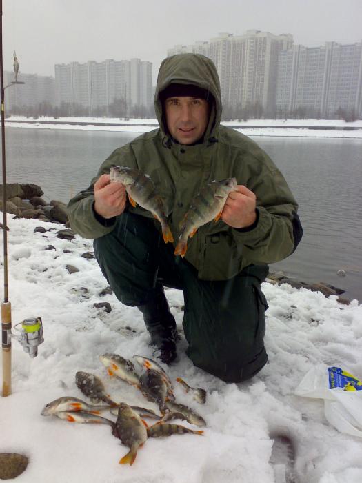 Если ты зимой суровой, ловишь окуней, накорми своим уловом марьинских бомжей...й