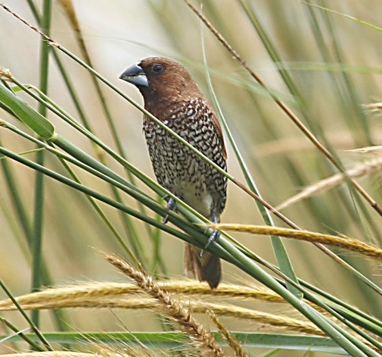 трудовые фото