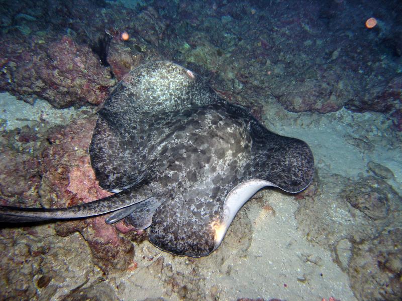 Марианские острова