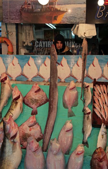 Рыбный рынок