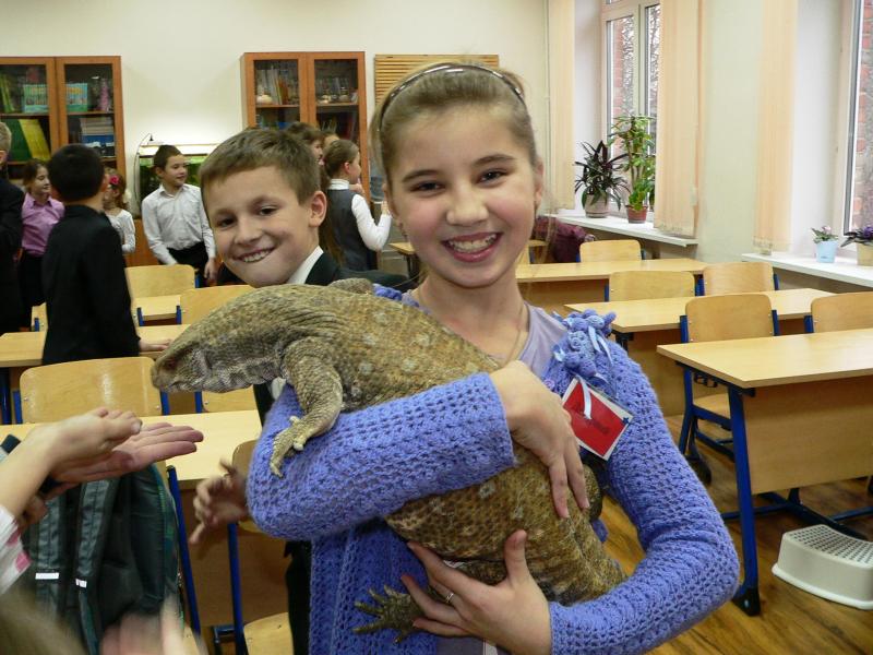 Ребятам о зверятах - 2.