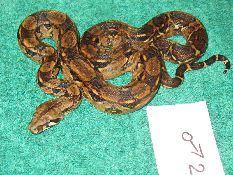 КостаРика 1