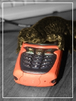 Мобильный испанец