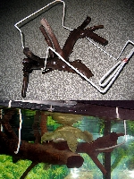 Плот для трионикса